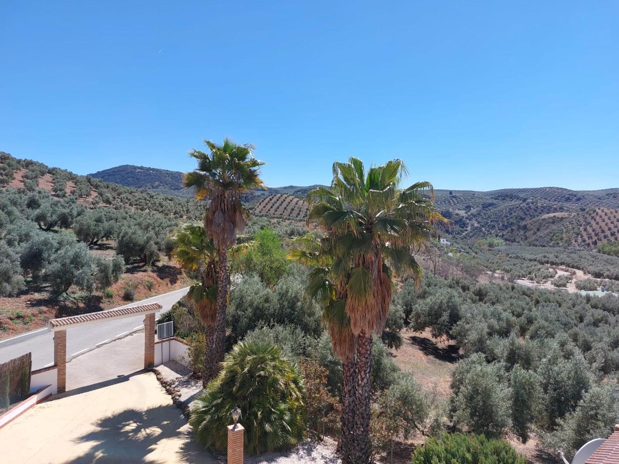 Apartamento Casa Pino Solo Iznájar