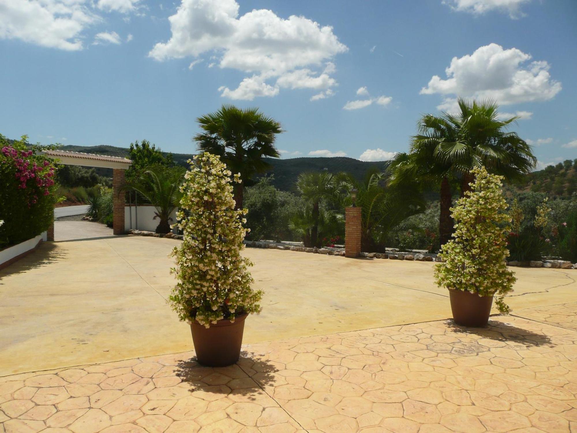 Casa Pino Solo * Iznájar