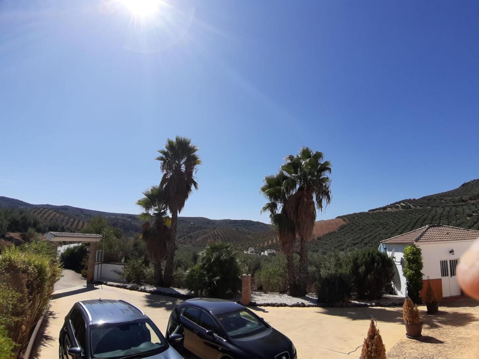 Casa Pino Solo