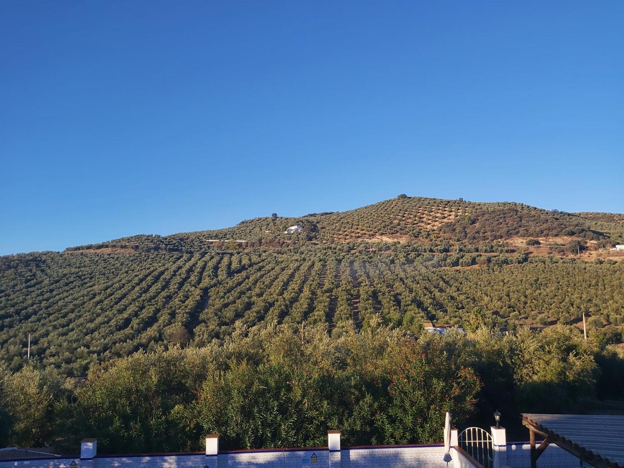 Apartamento Casa Pino Solo