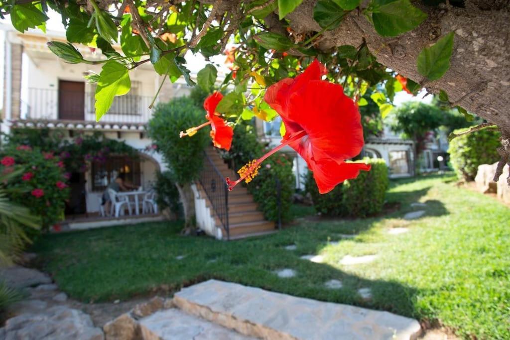 Casa En Con Piscina Y Jardin Apartamento *