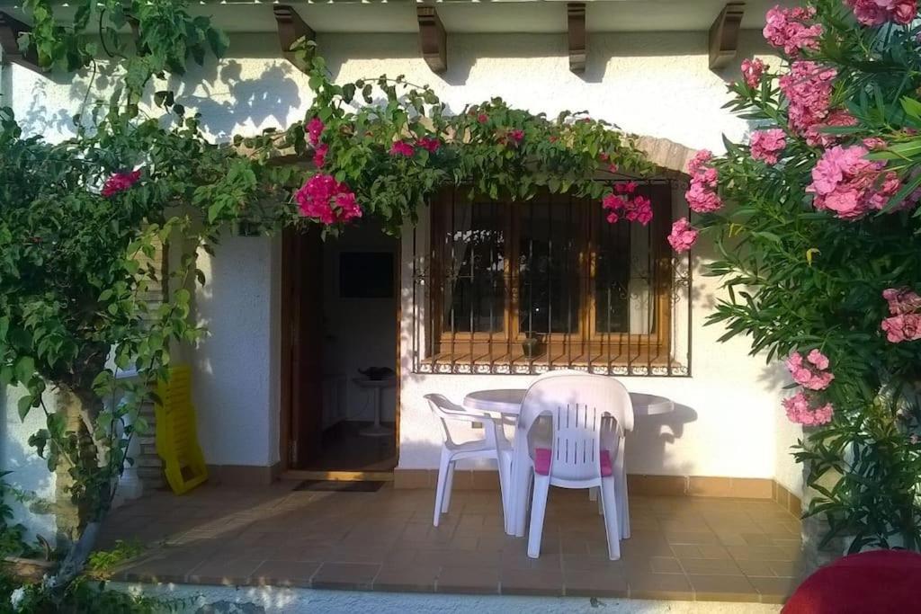 Casa En Con Piscina Y Jardin Apartamento