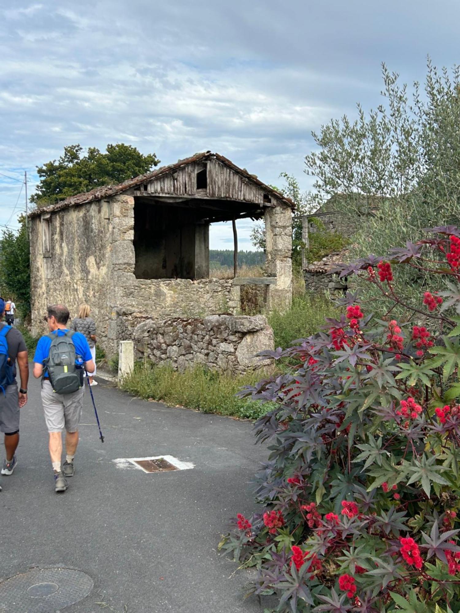Casa Bolboreta By Unusual Hotel