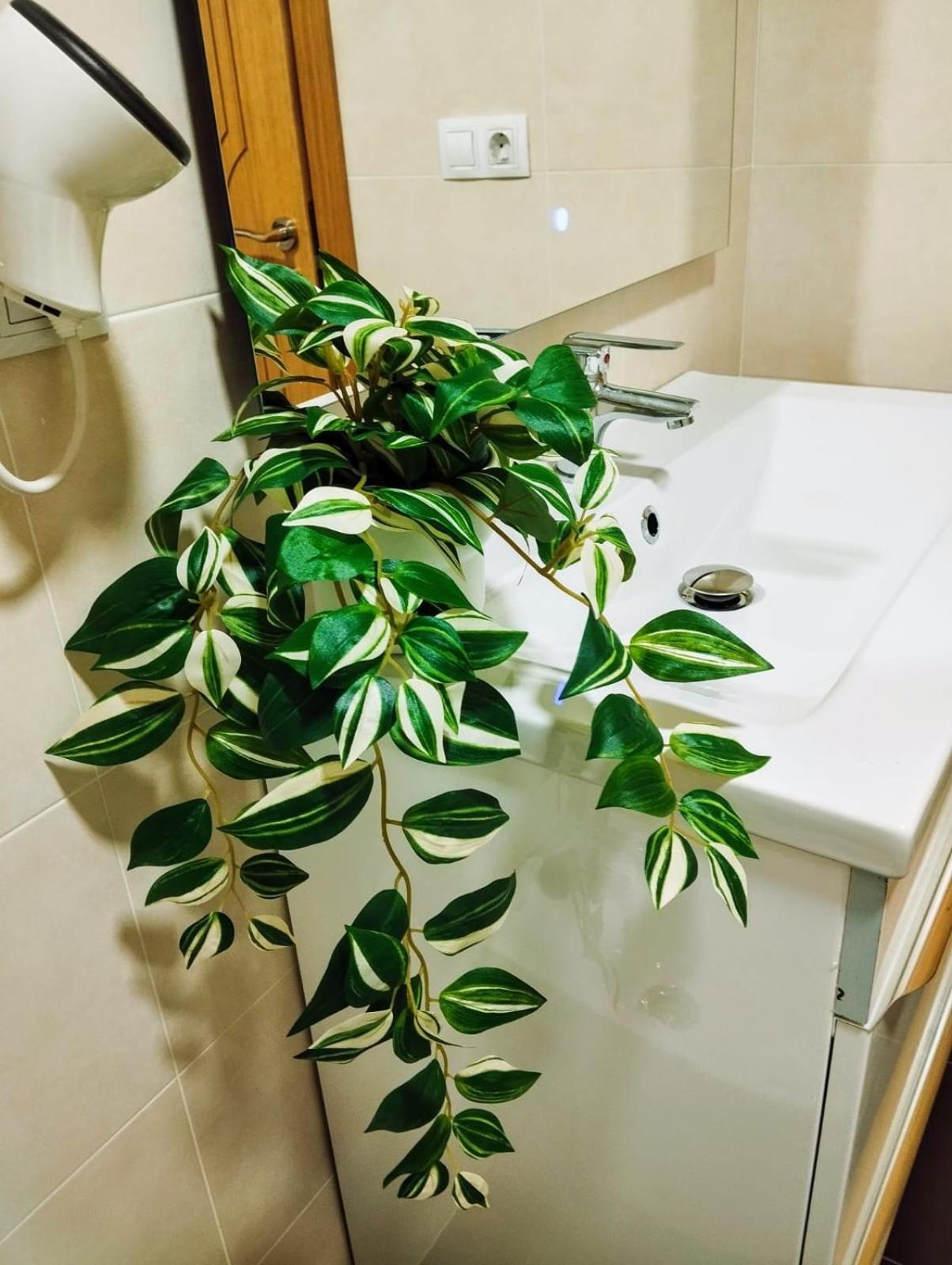 Piso Vacacional Acogedor Apartamento *