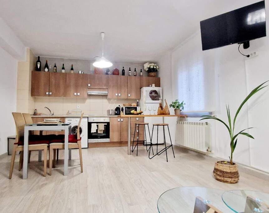 Apartment Precioso Centro Logrono. Logrono