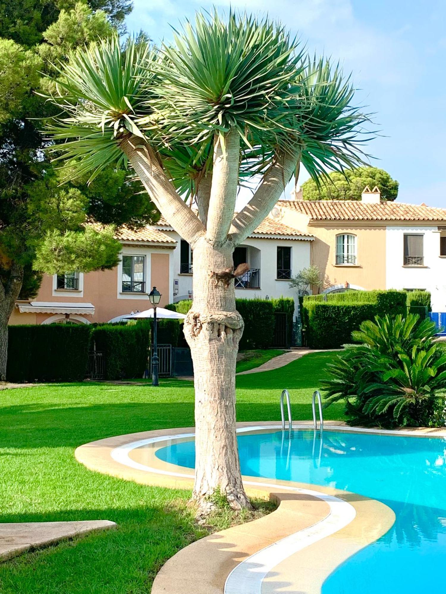 Casa Bahia Holiday home