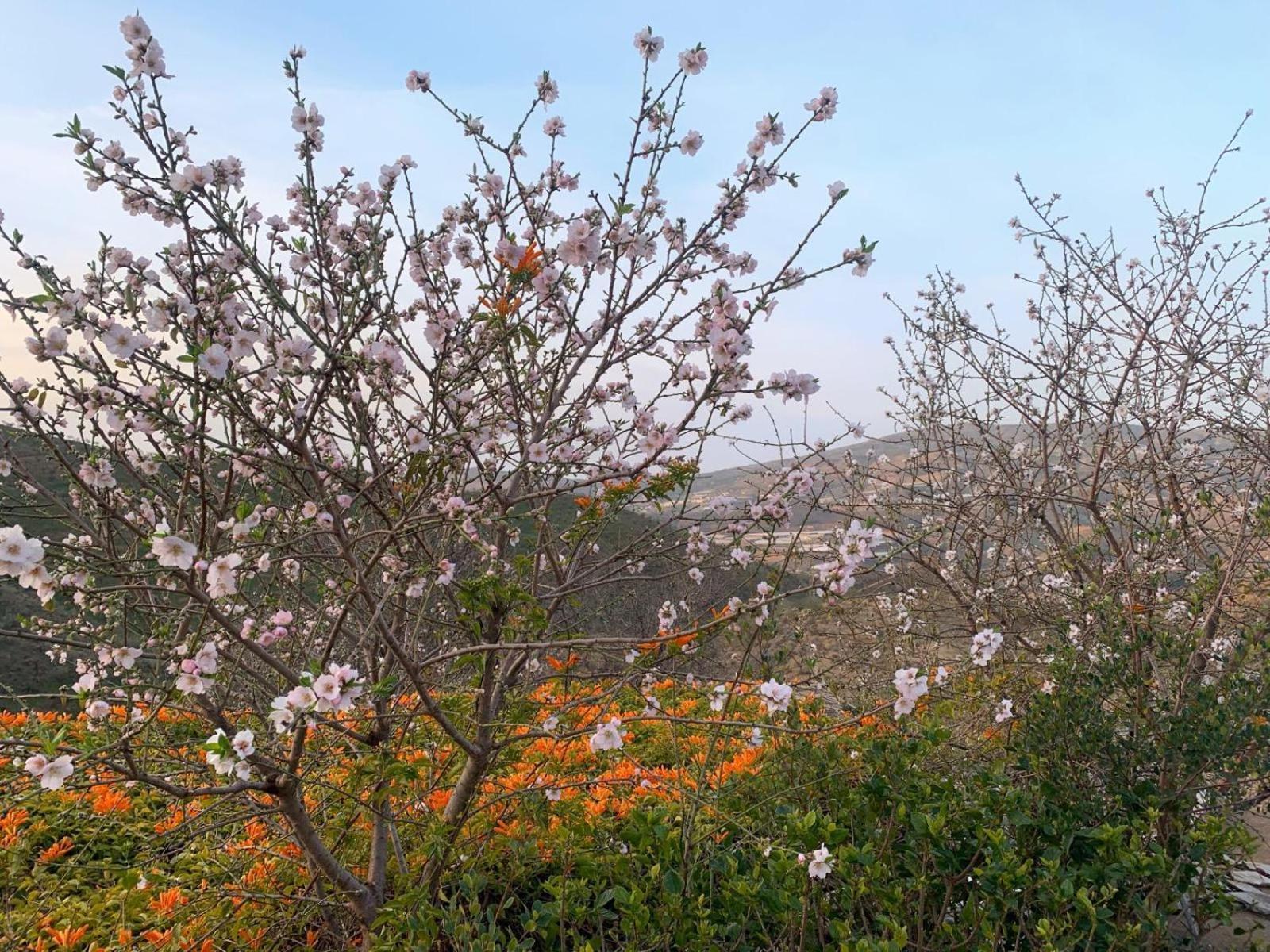 Apartamento Cortijo Grande Rubite (Granada)