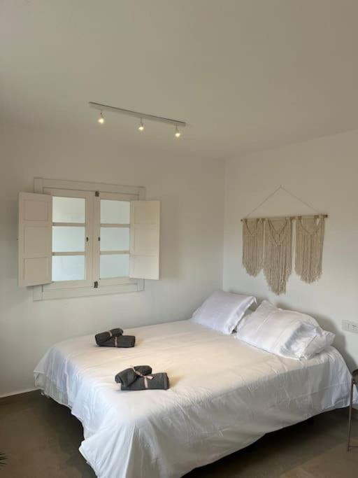 Apartment Casa Plaza 2
