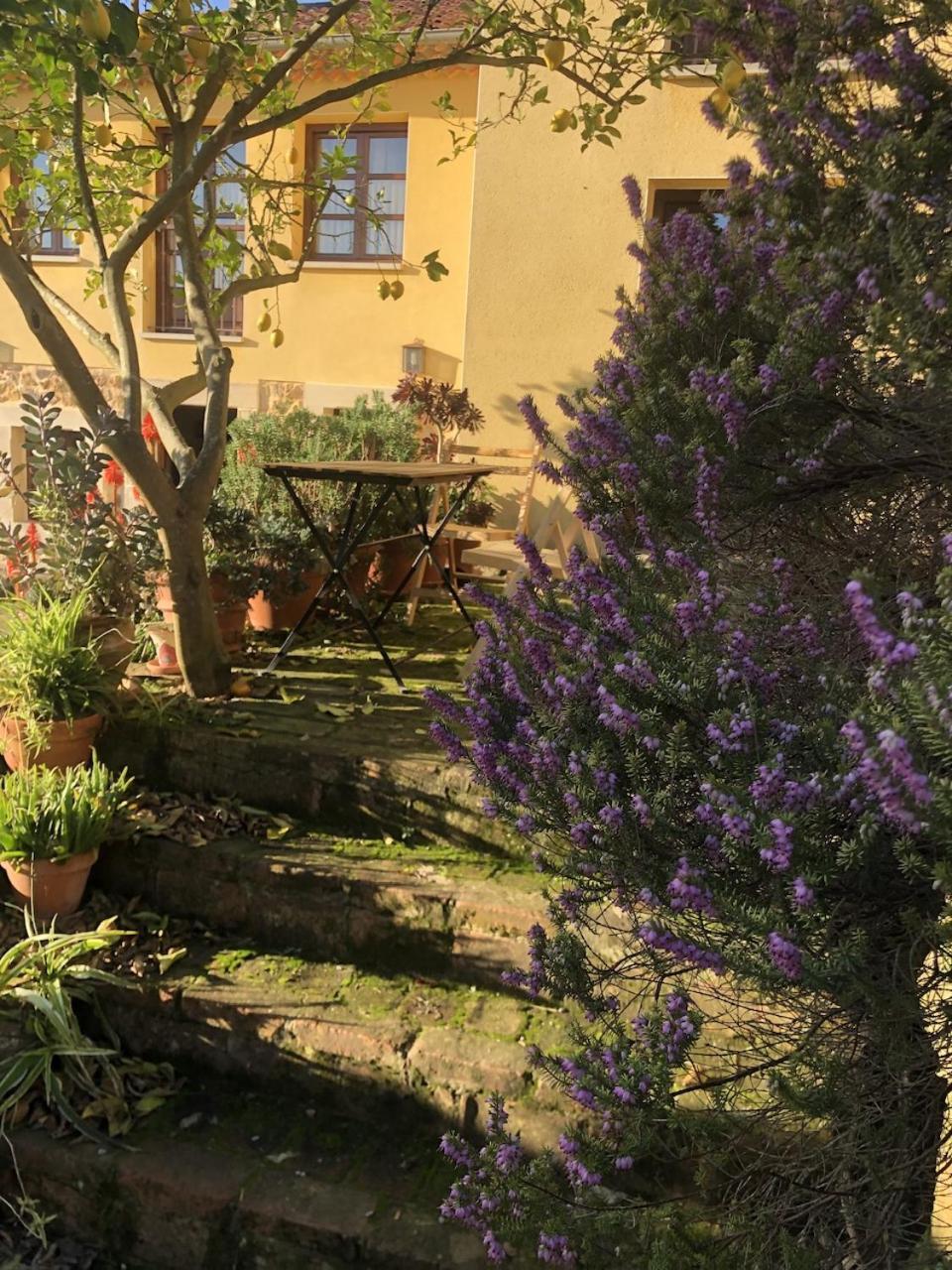 Country house Trebol4hojas San Pedro (Asturias)