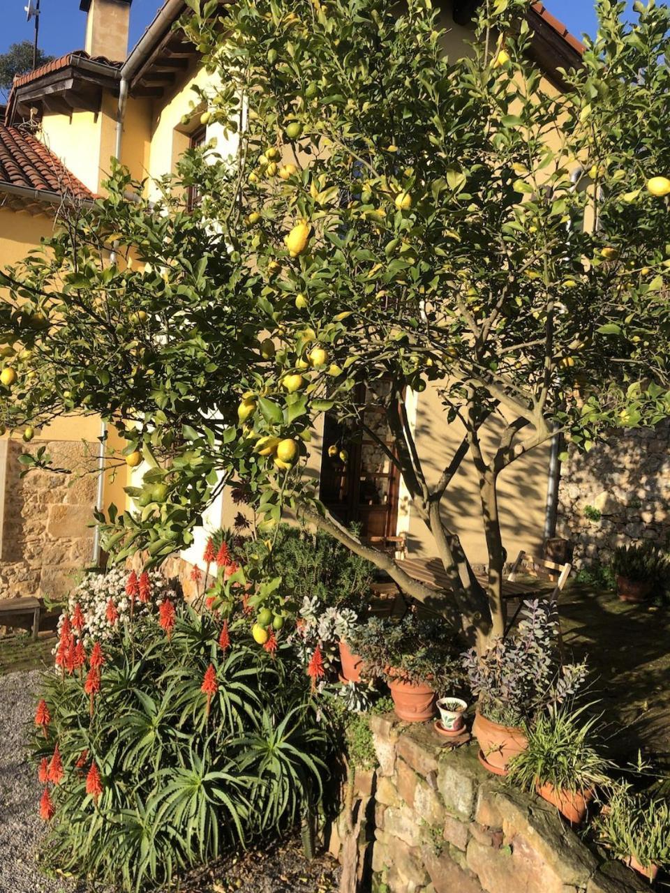 Country house Trebol4hojas