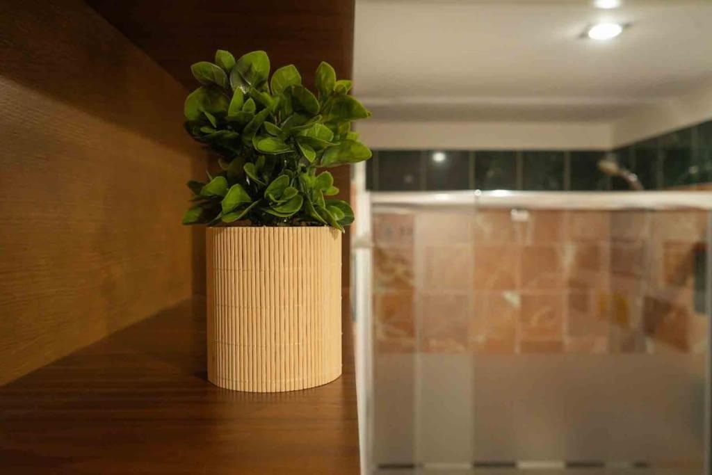 Nuevo Junto A La Catedral De Apartamento