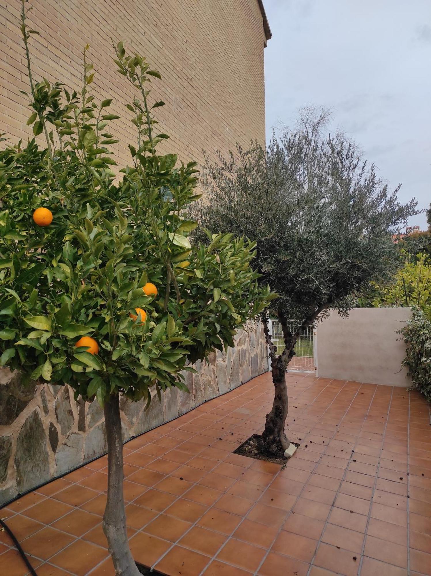 Casa Con Jardin Entre Y Puy Du Fou Holiday home