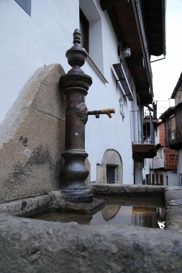 El Olivar Agloipe Extremadura * Ahigal