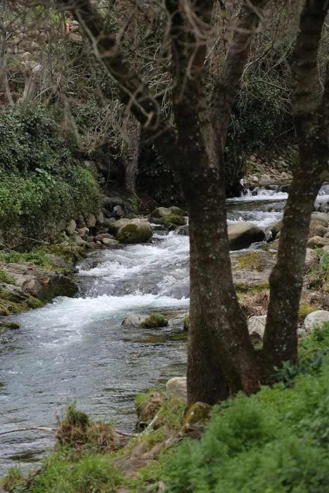Сasa de vacaciones El Olivar Agloipe Extremadura Ahigal