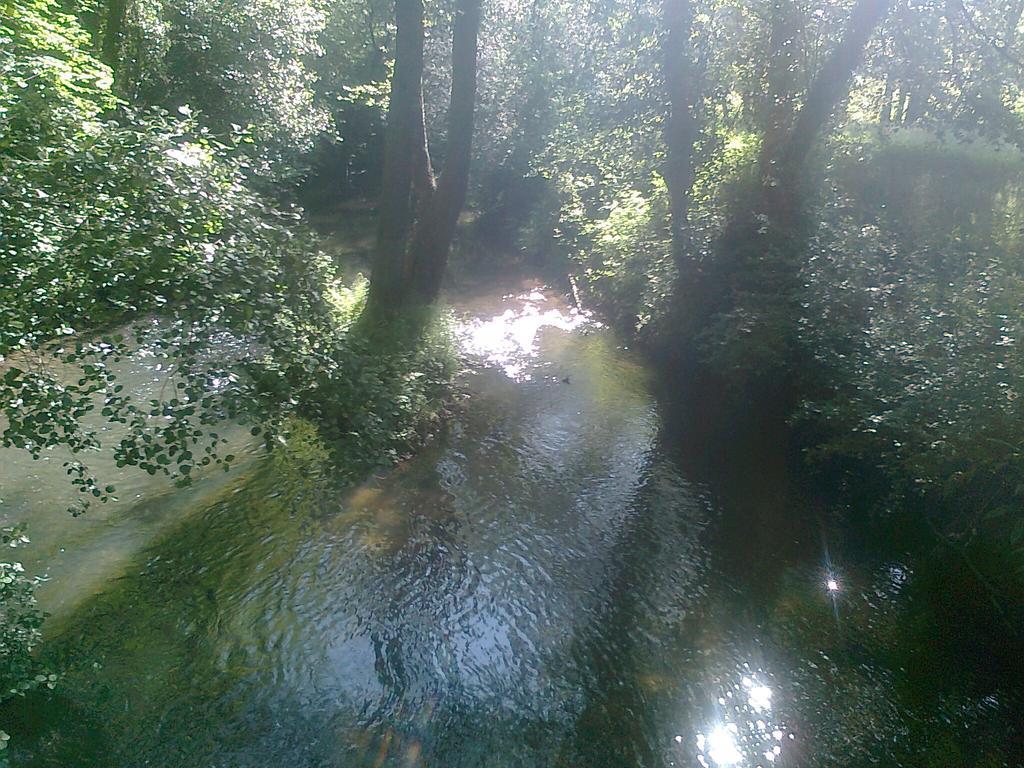Pension Cangas De Onis Guest house