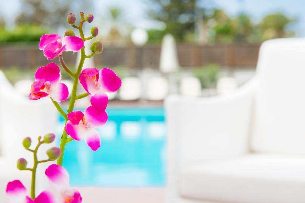 Apartamento Sunny Village Playa del Inglés