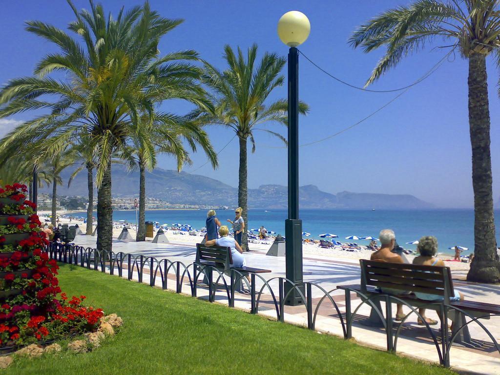 Albir Azul *