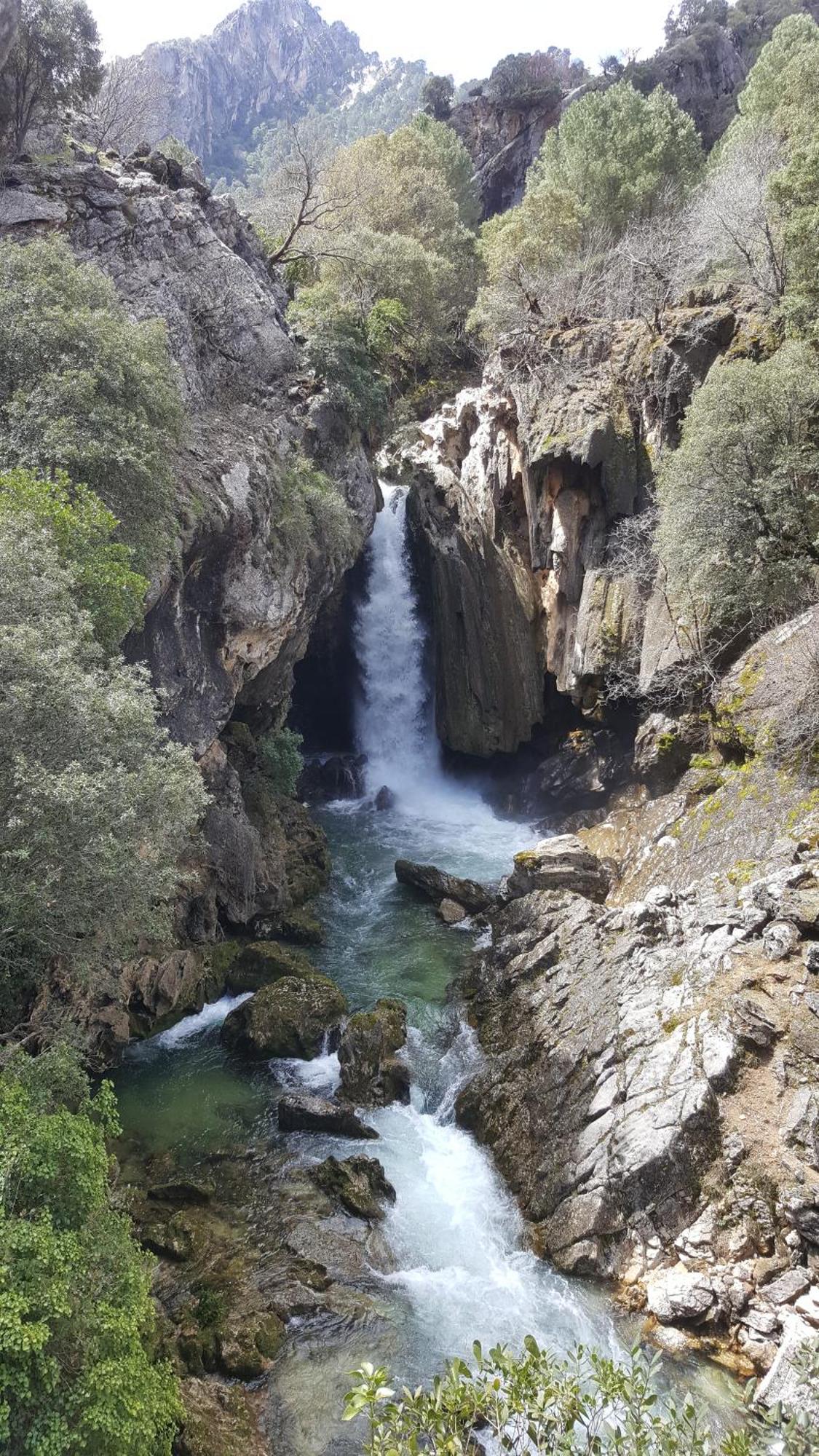 Rurales Navahondona