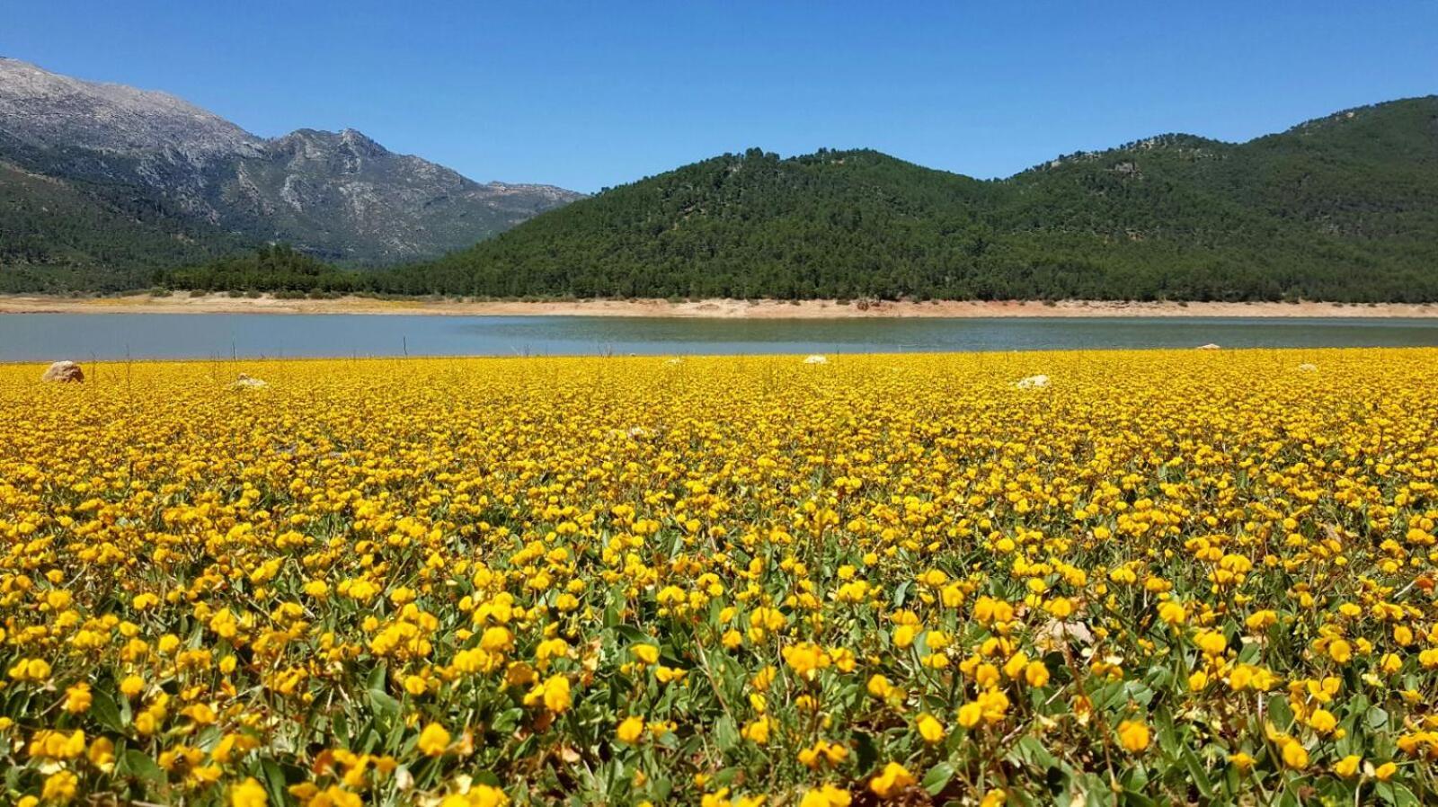 Rurales Navahondona Apartamento Arroyo Frío