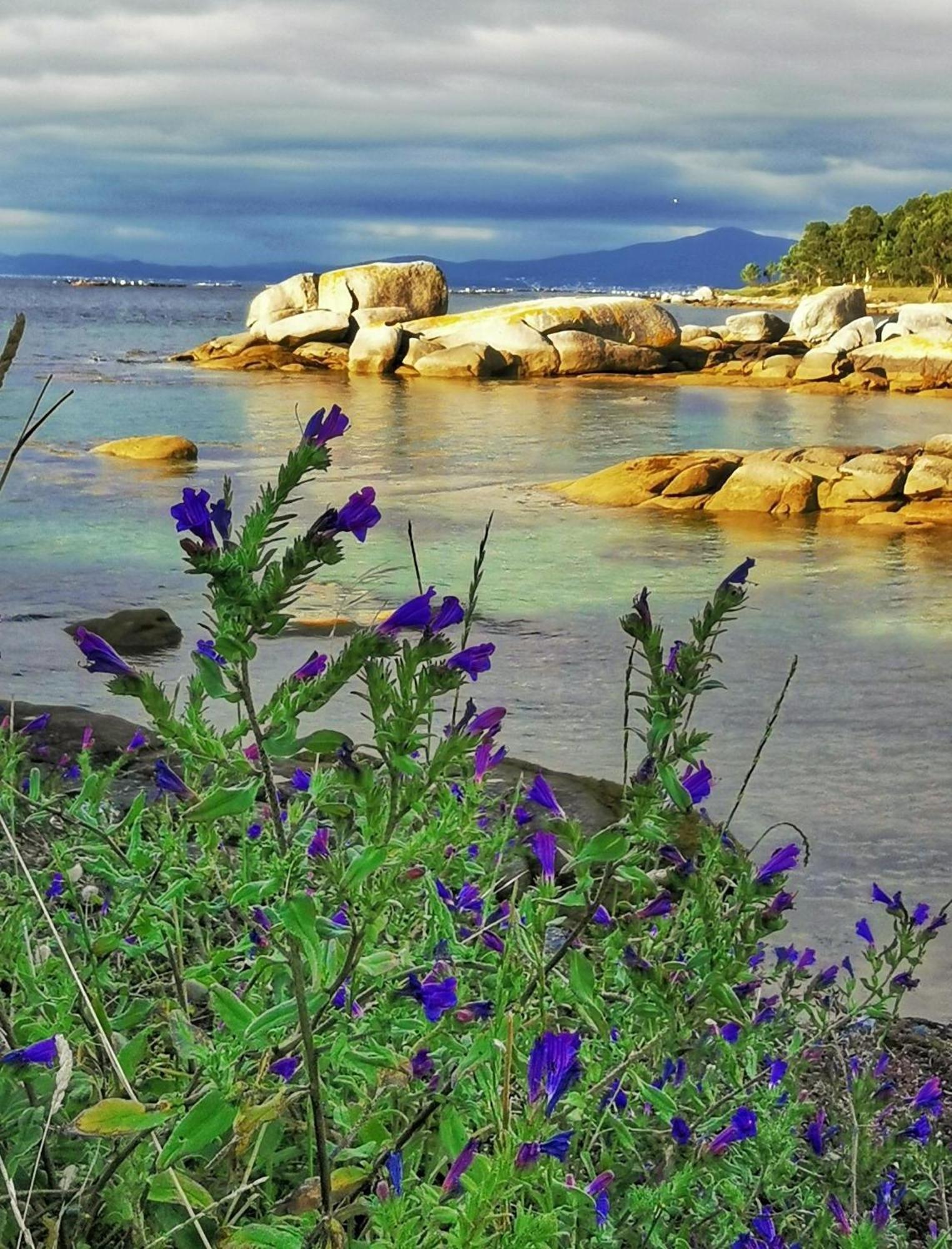 Ravella * Vilagarcía de Arousa
