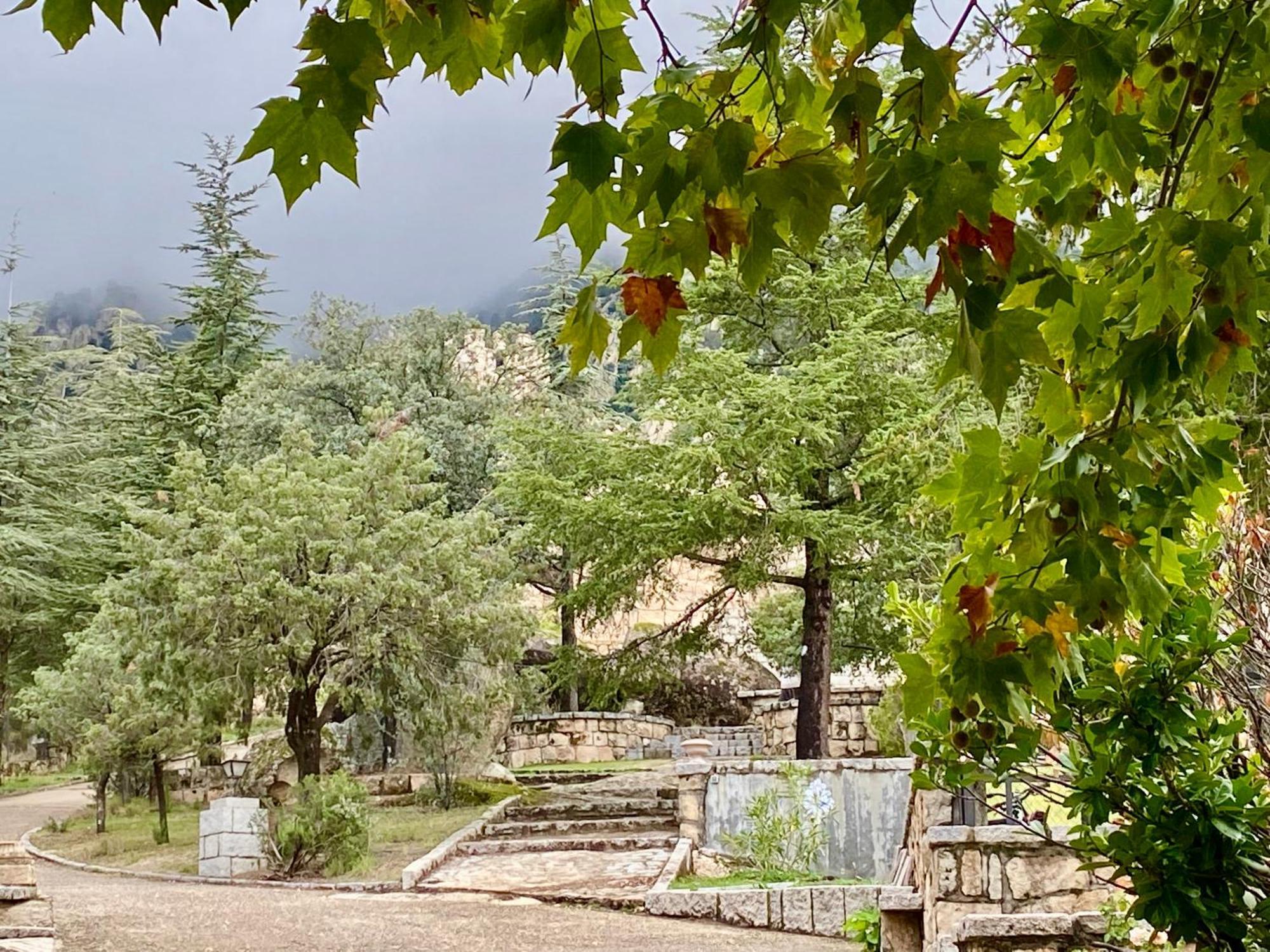 Magnífico Castillo Privado, Elevado En La Roca Chalet *