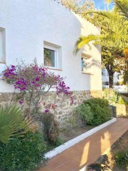 Amplio Con Jardin En Almadrava * Rosas