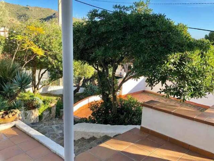 Apartamento Amplio Con Jardin En Almadrava Rosas