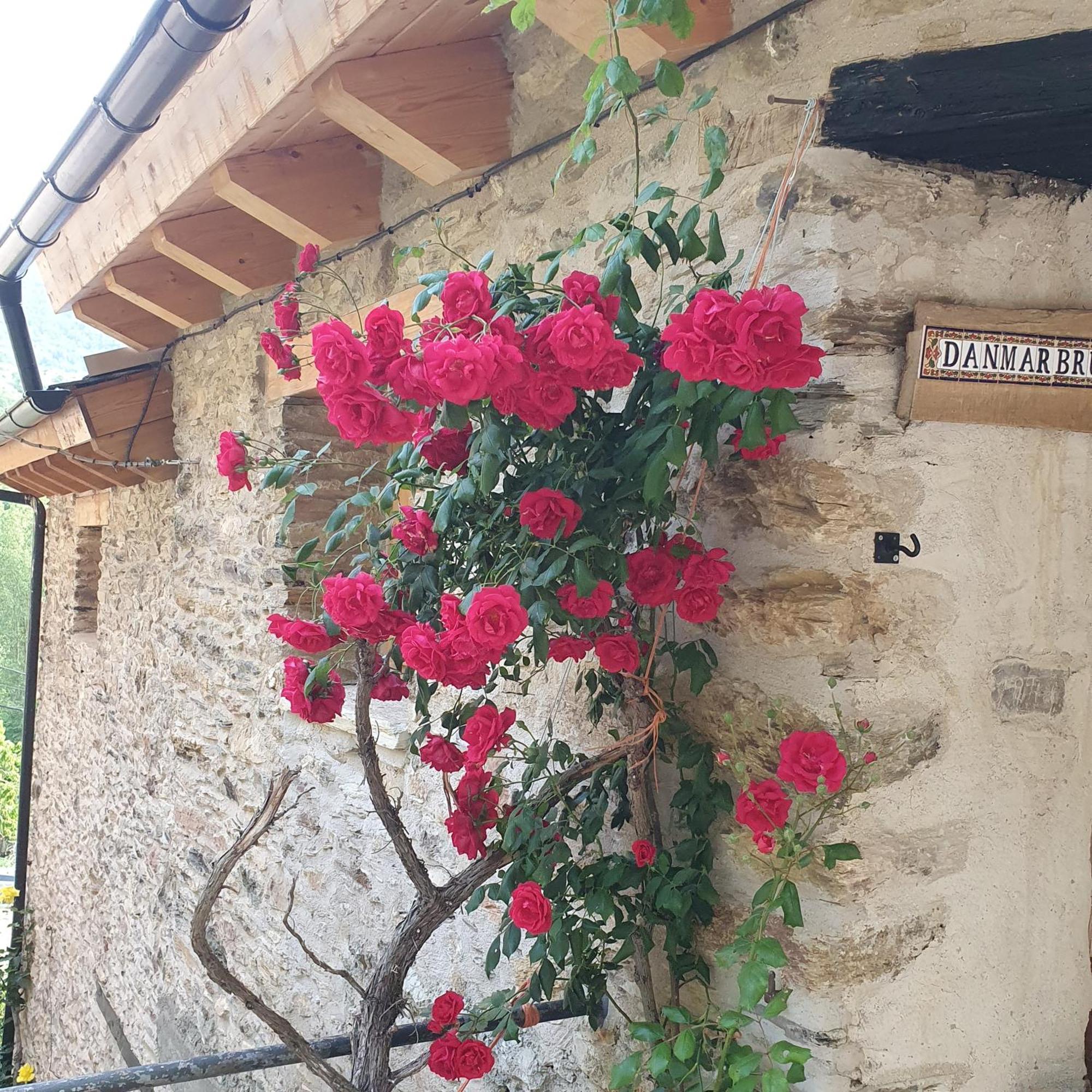 Espectacular De Montana Pirineos, Holiday home Burg