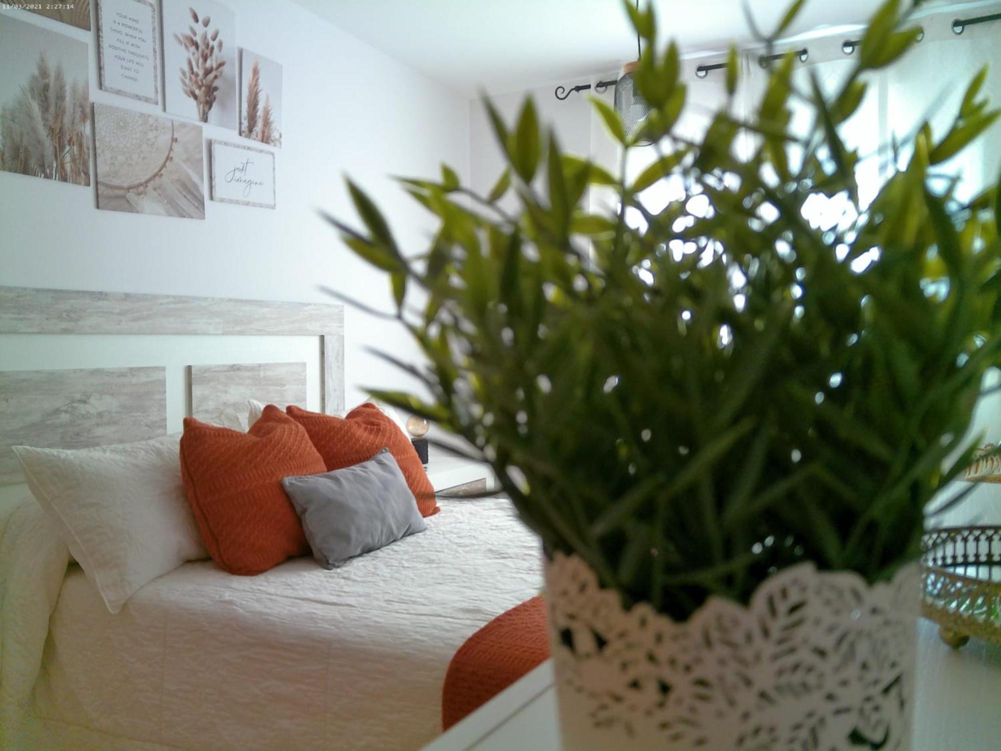 Apartamento Deltafamily ¡ Barbacoa,piscina, Wifi Chromecast !!