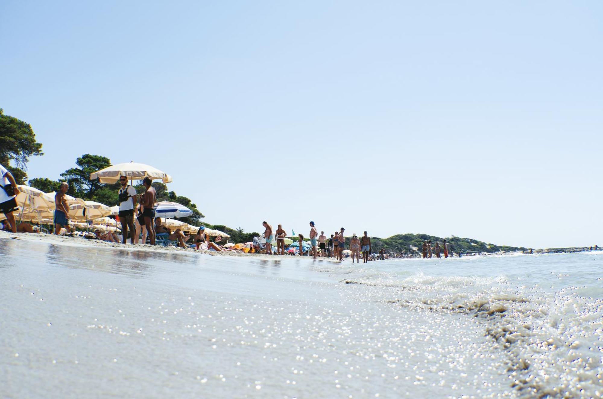Mar Y Sal San José