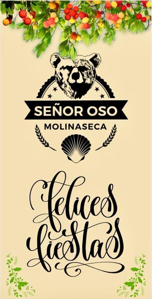 Hostel Senor Oso *