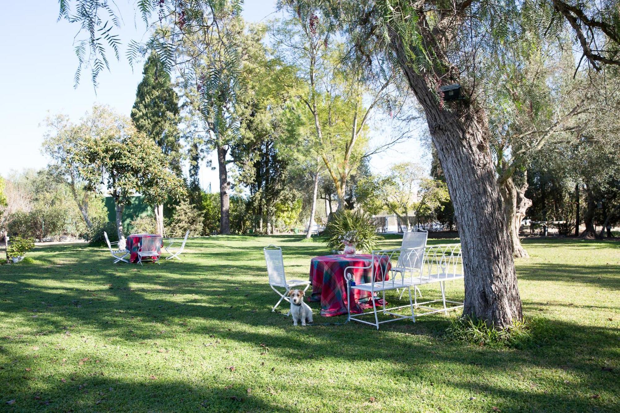 Villa Cortijo Rural La Mariscala *
