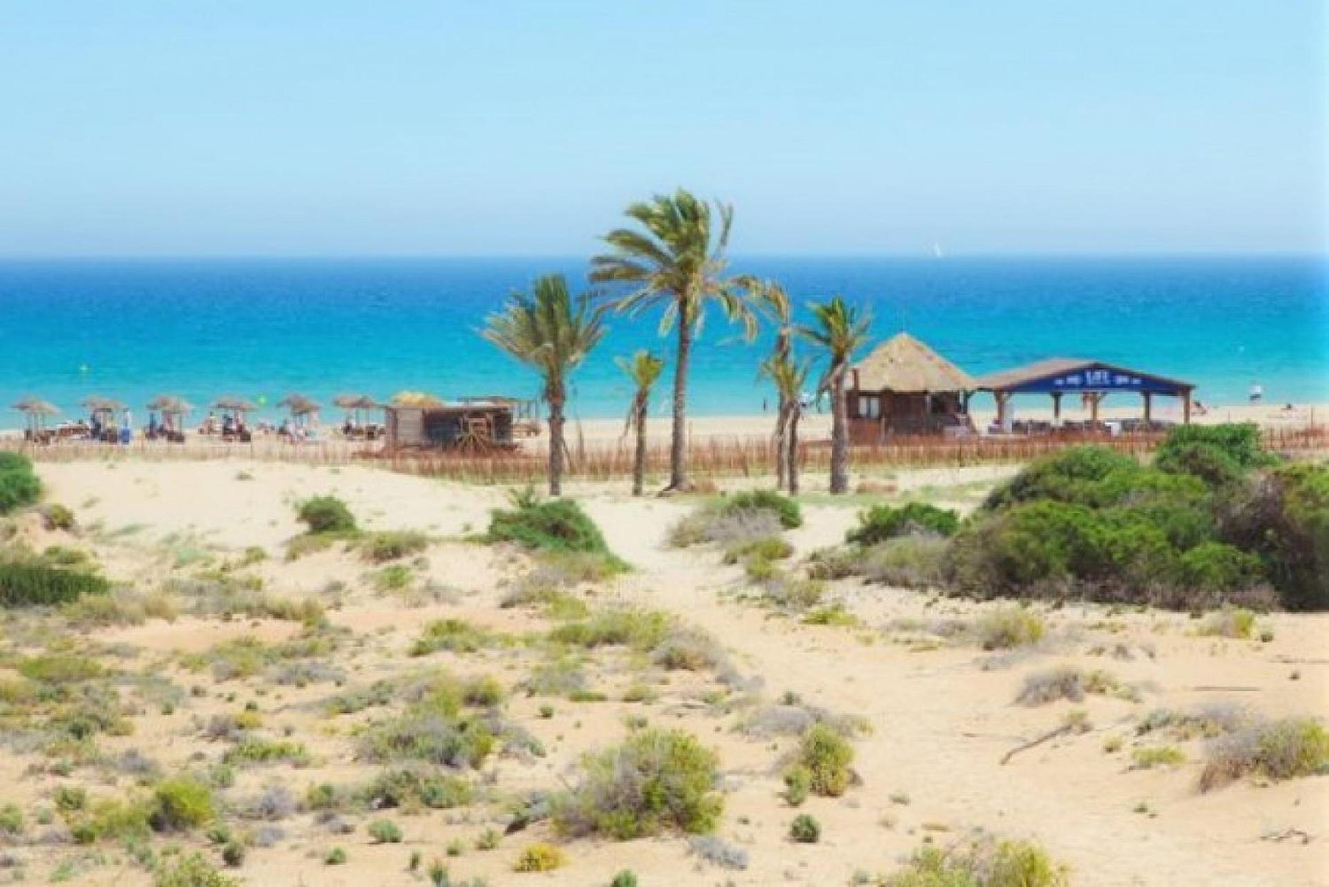 Apartamento Mediterraneamente Soleado Santa Pola