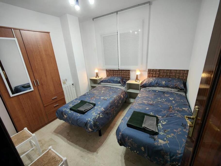 Apartment Tranquilo Y Elegante