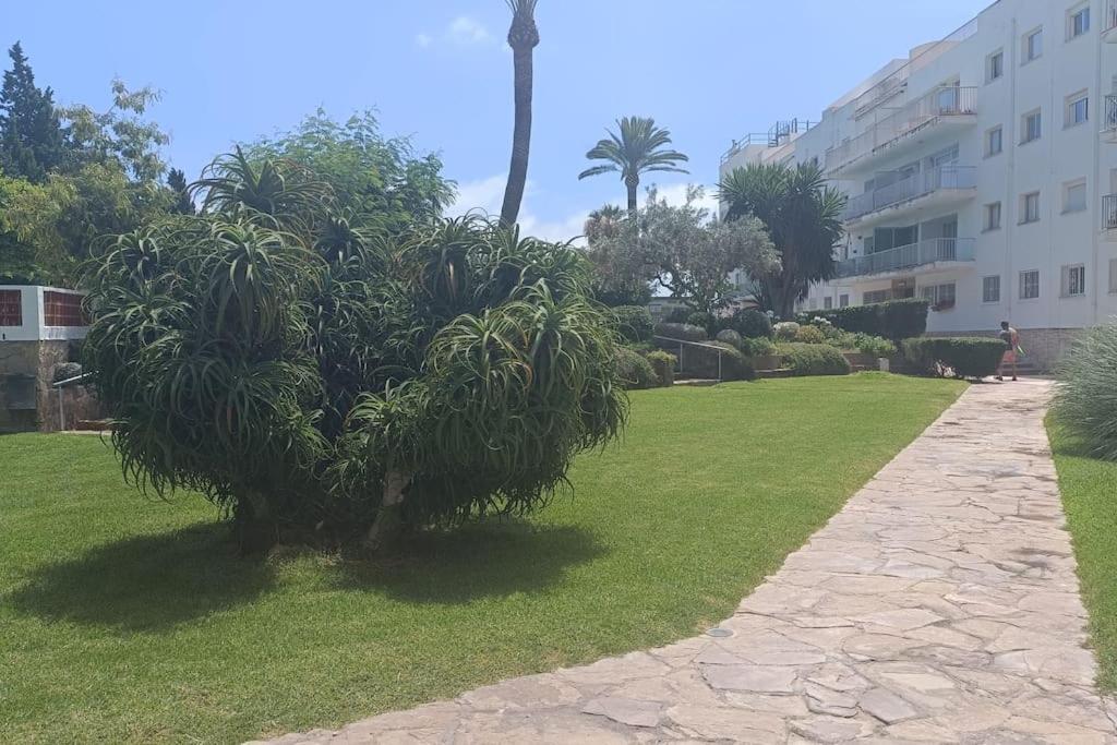 Apartment 1ª Linea De Playa Alicante