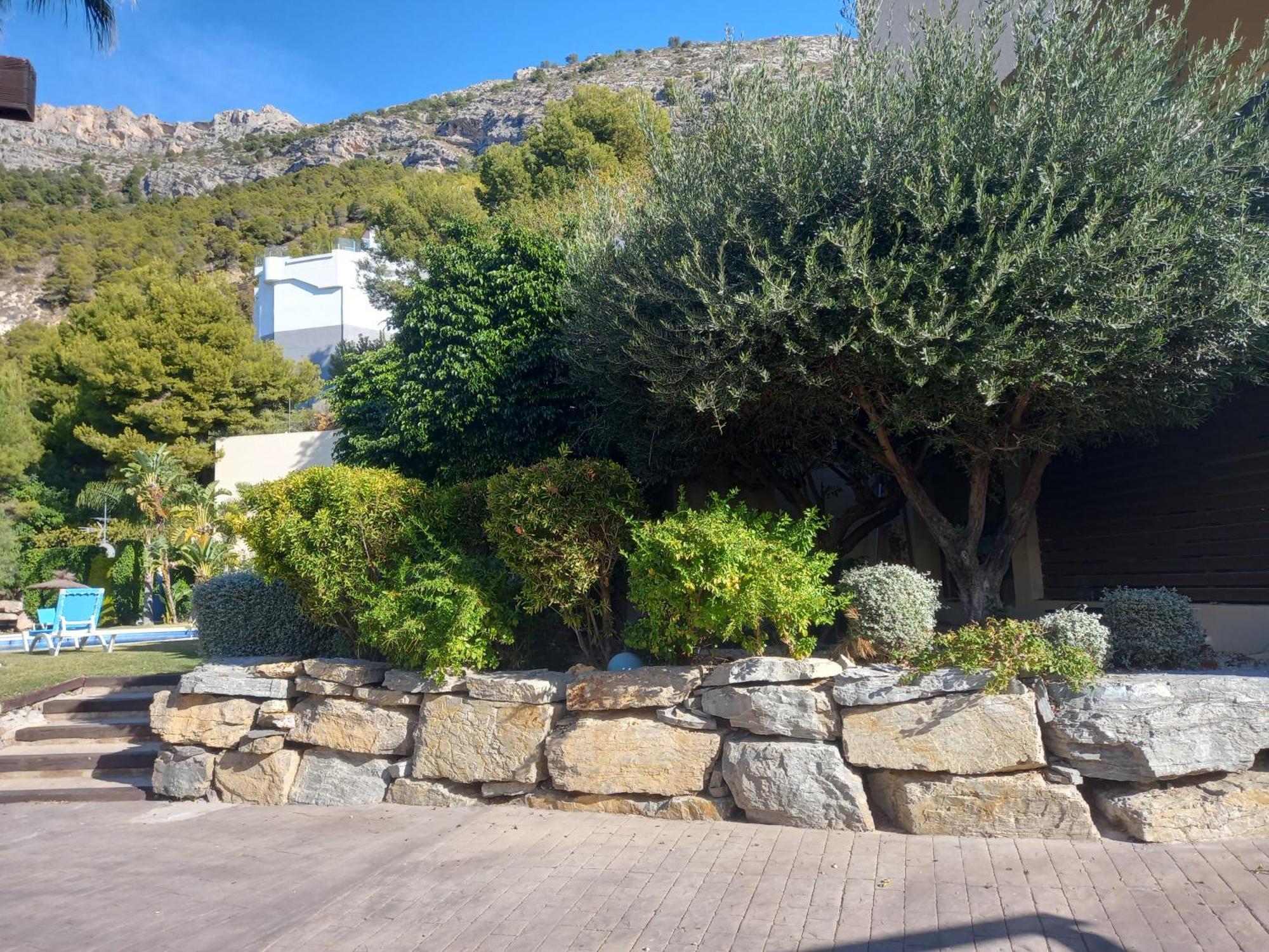 Townhouse Olivos M Altea