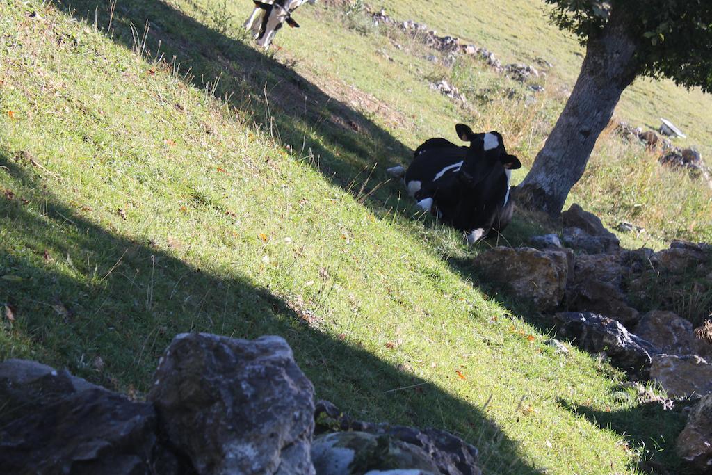 Machorras I Y Ii Casa rural Bárcenas