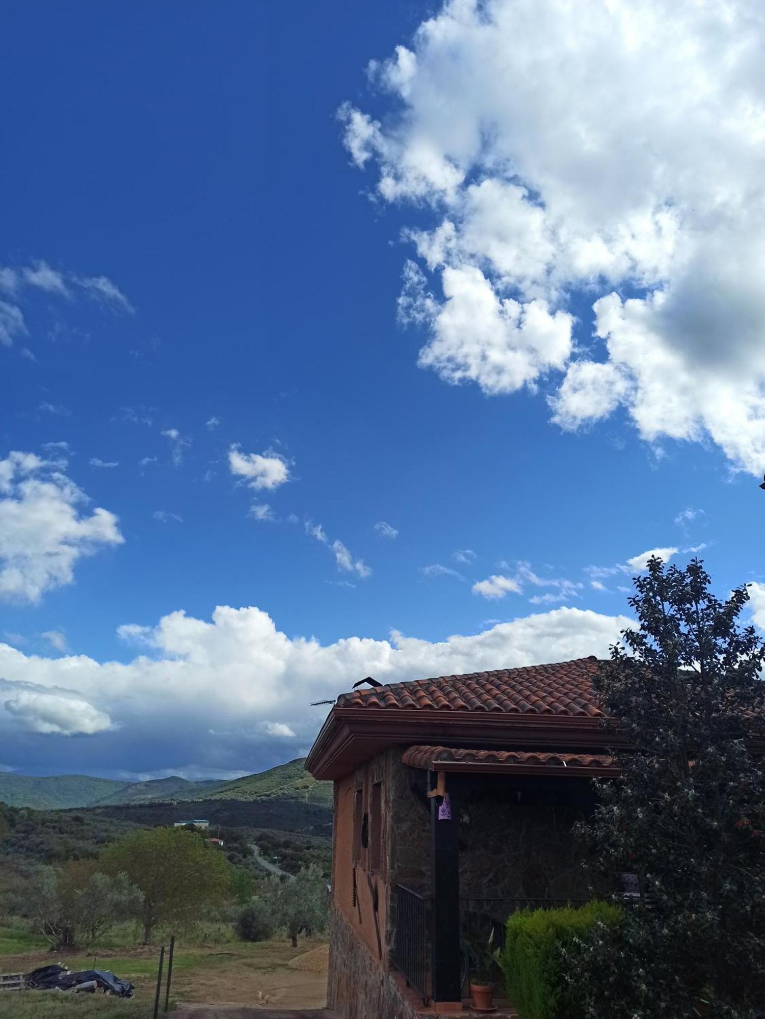Olivos
