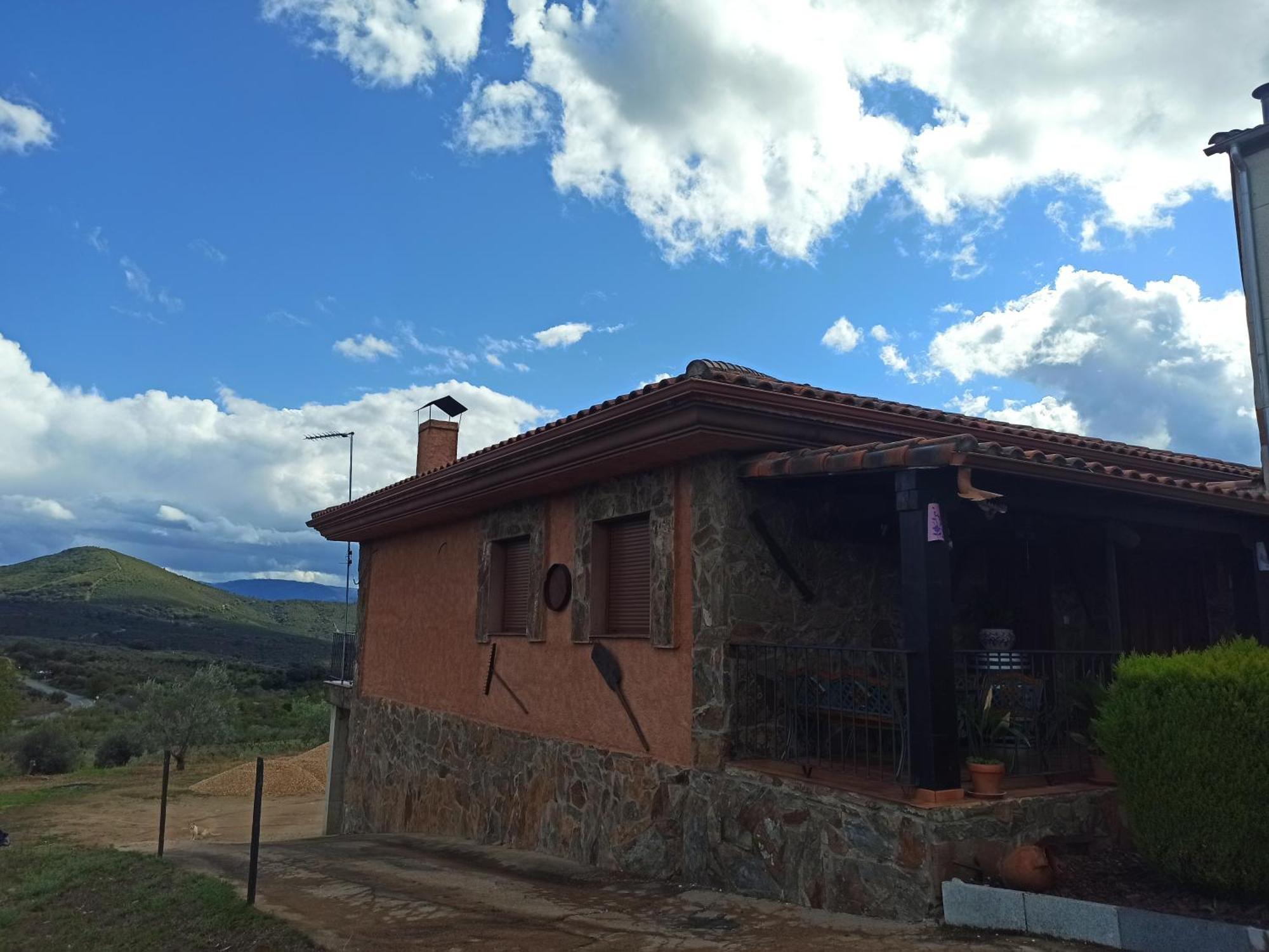Olivos