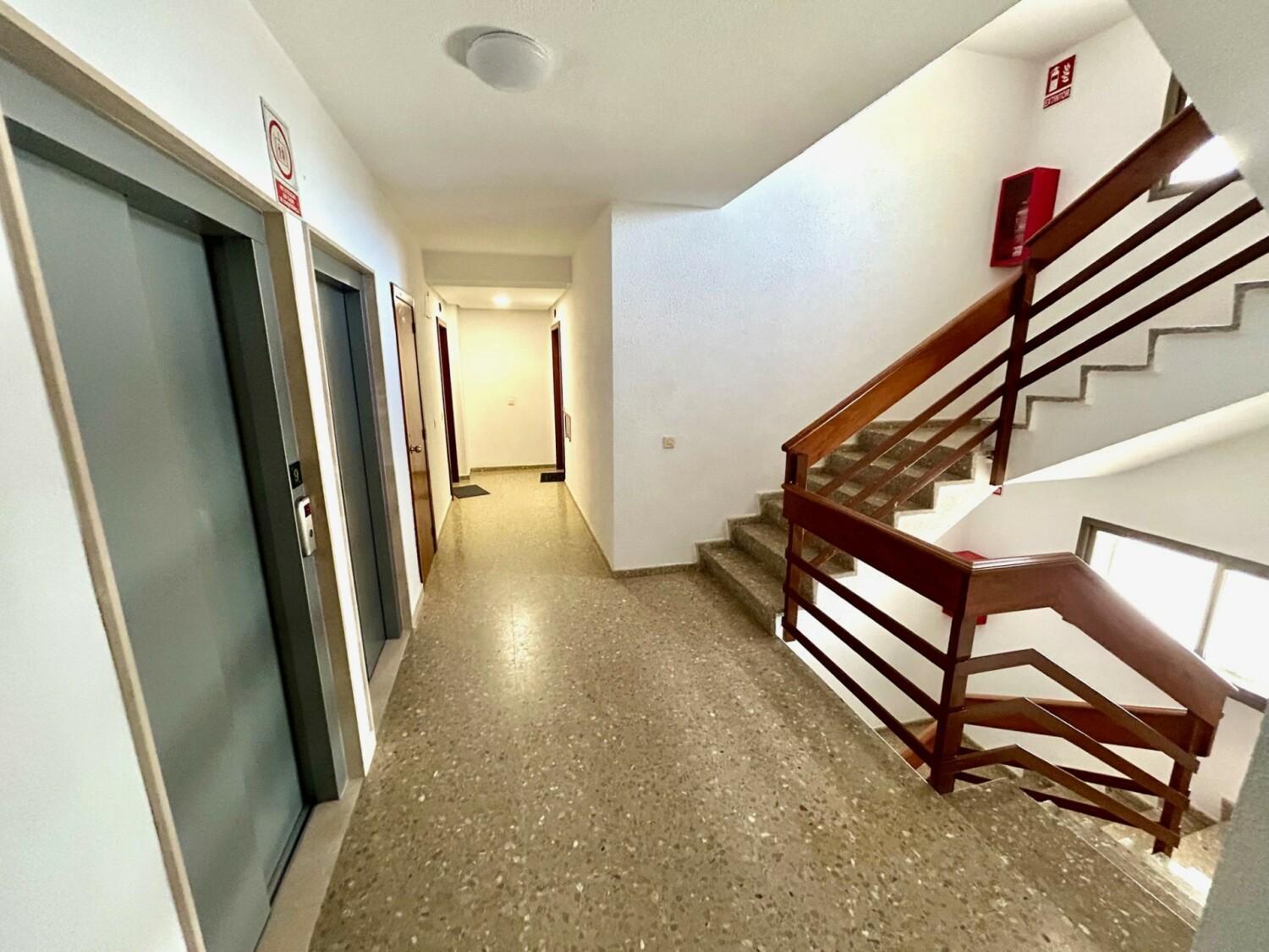 Apartamento Gatu Arena 