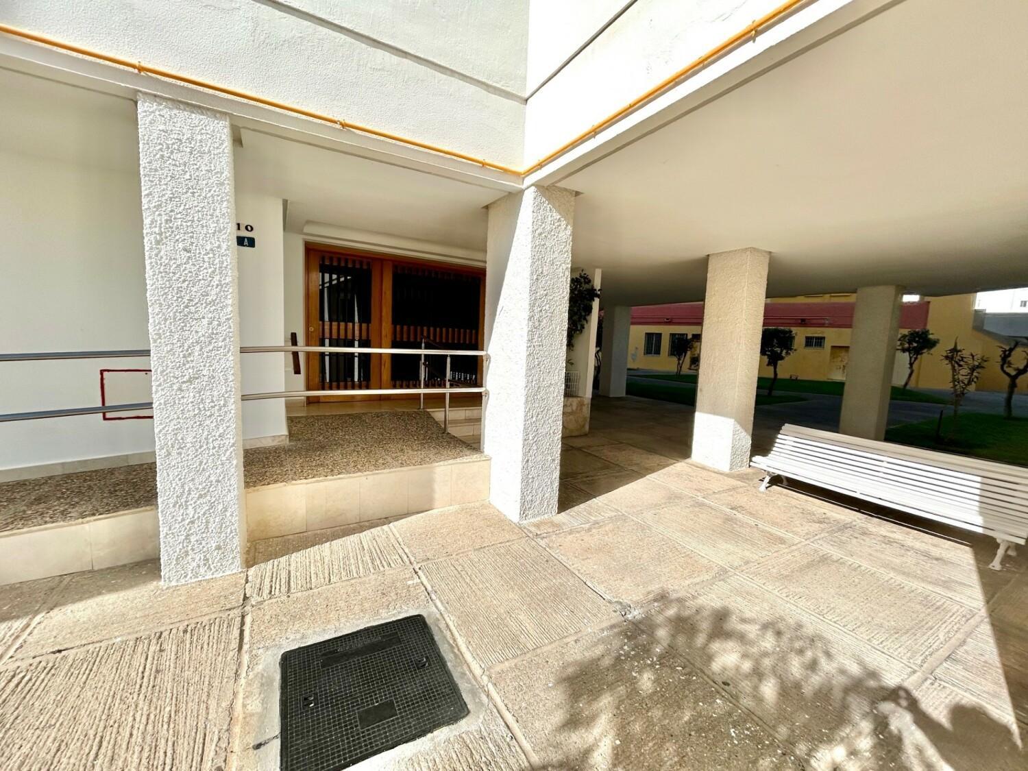 Gatu Arena 