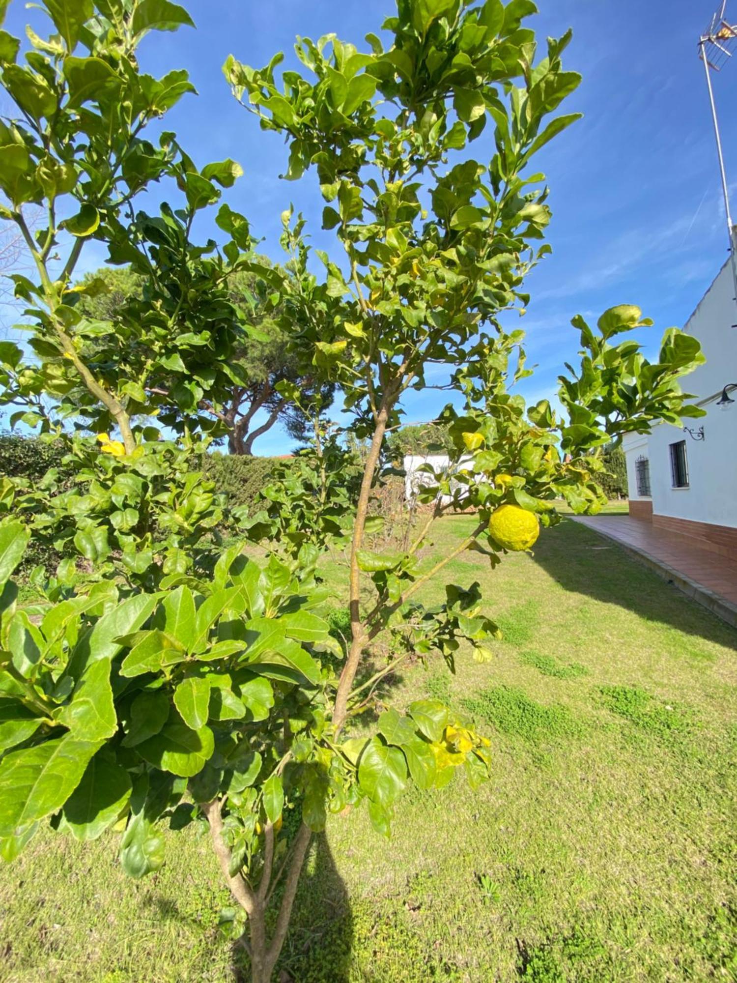Lua Villa *