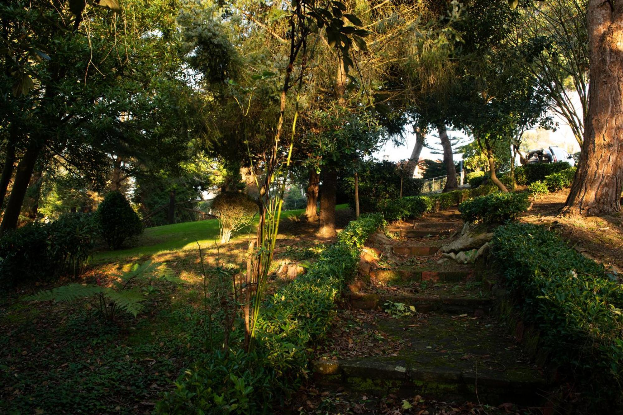 Apartment Garden Rock *