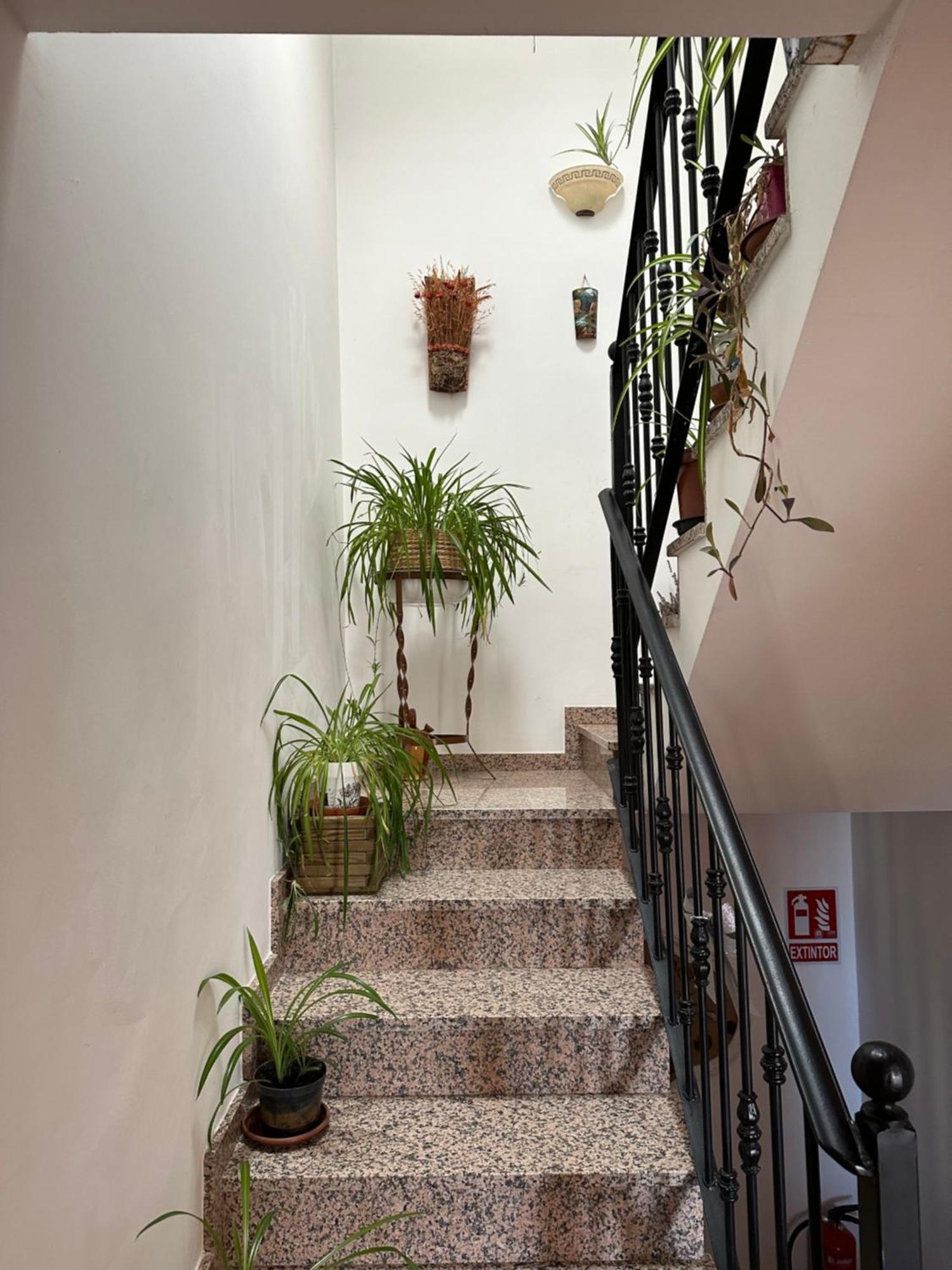 Apartamento Mateo