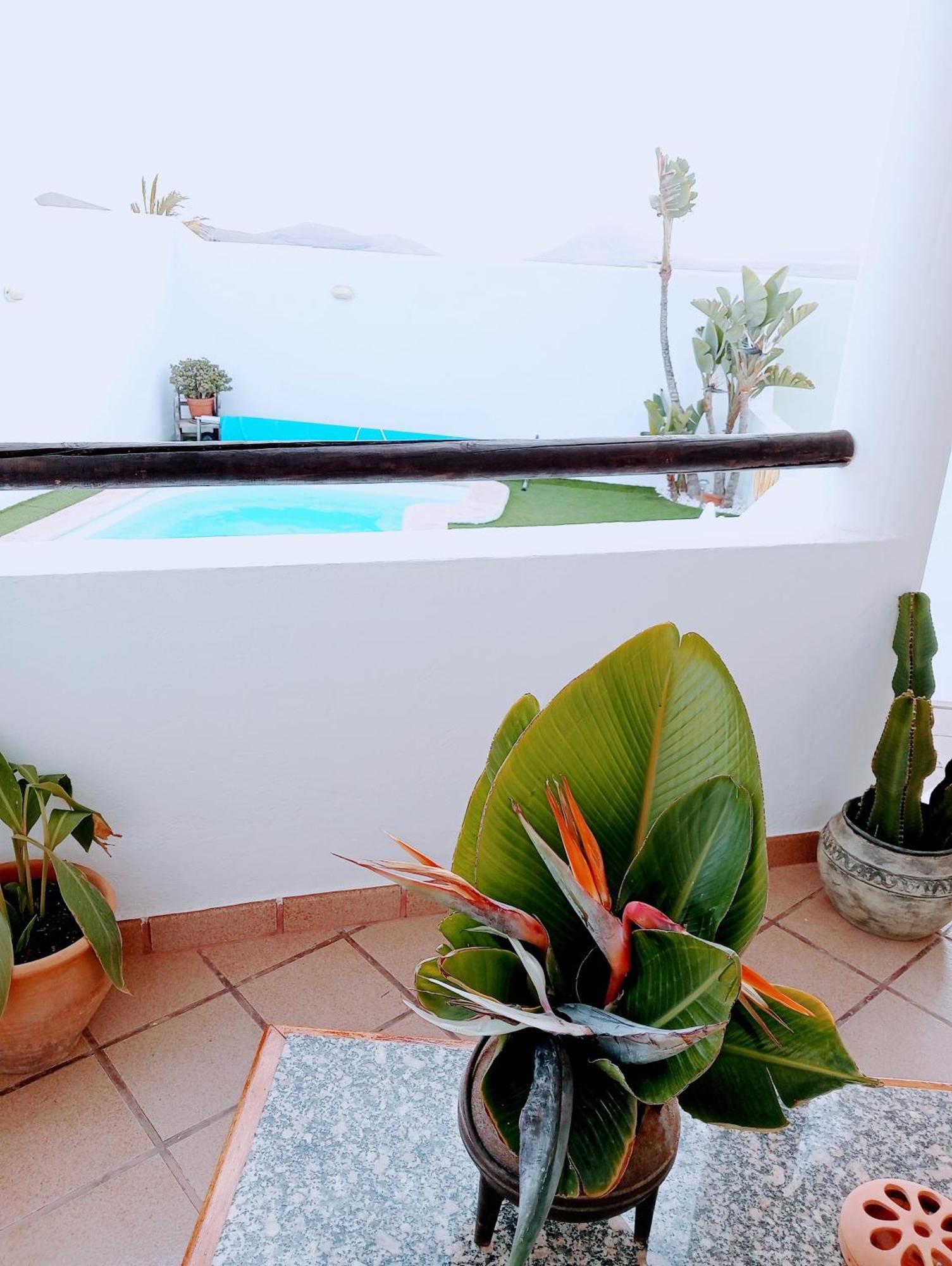 Casa Strelitzia Villa Nazaret