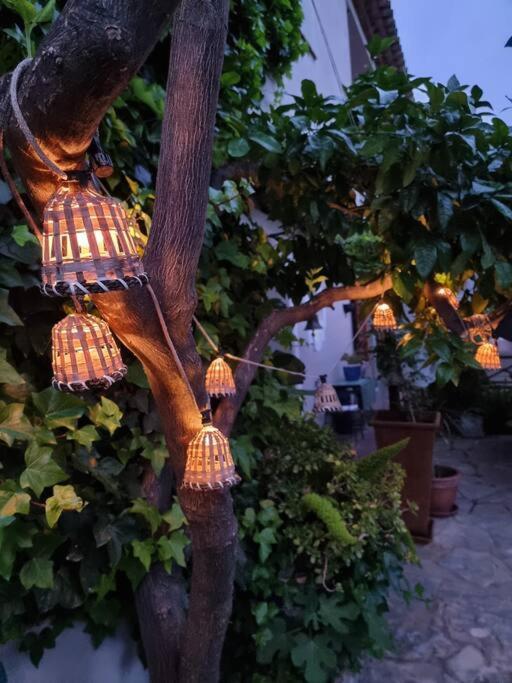 Bonita Con Jardin Y Terraza Privado Сasa de vacaciones *