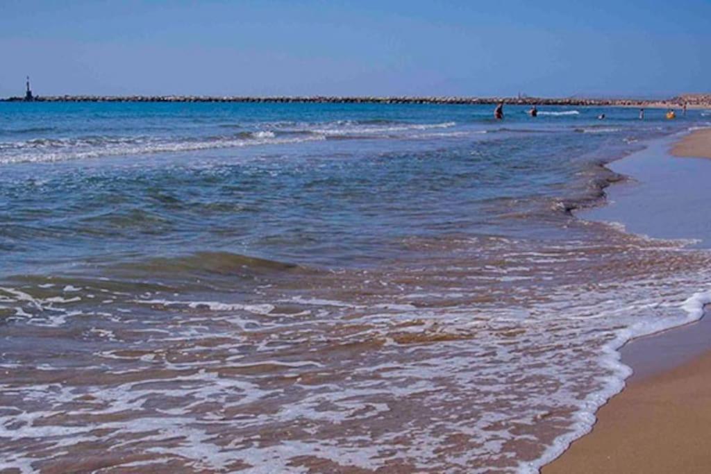 Frente Al Puerto Y Junto A La Playa Del Arenal Apartment