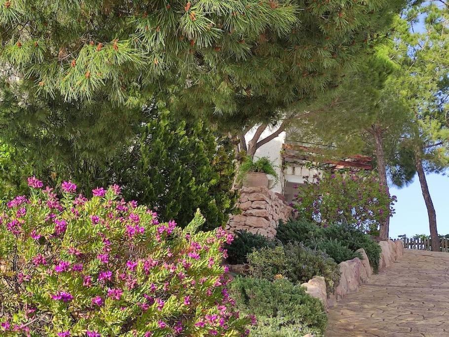 Сasa de vacaciones Casa Del Halcon Aledo