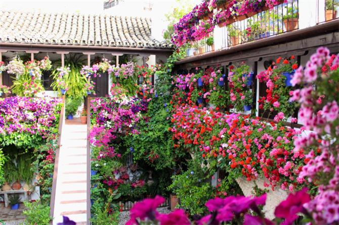 Apartment Monteras Centro Cordoba