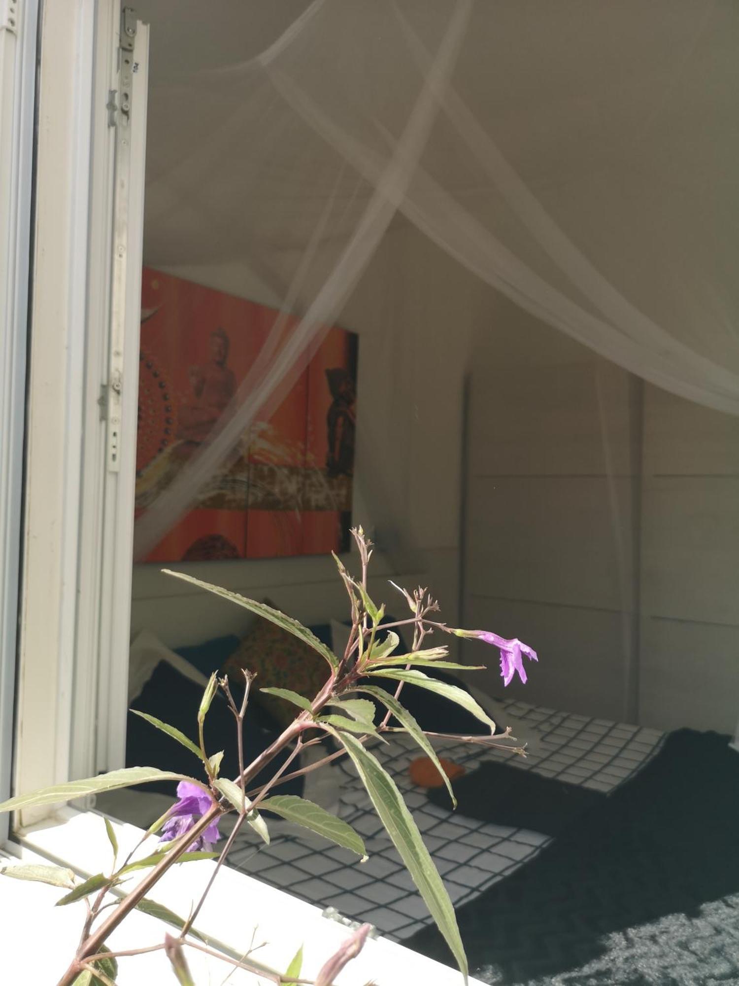 Yumbo Bed and breakfast Maspalomas (Gran Canaria)